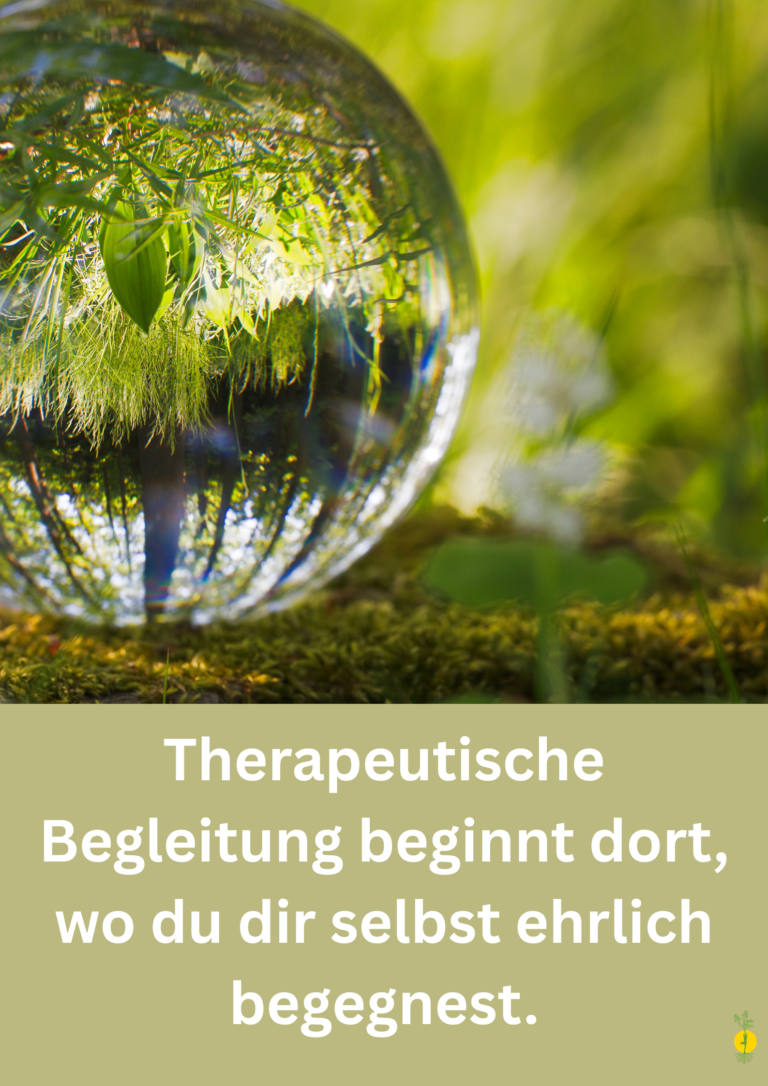Systemische Ganzheitliche Therapeutische Begleitung Berlin
